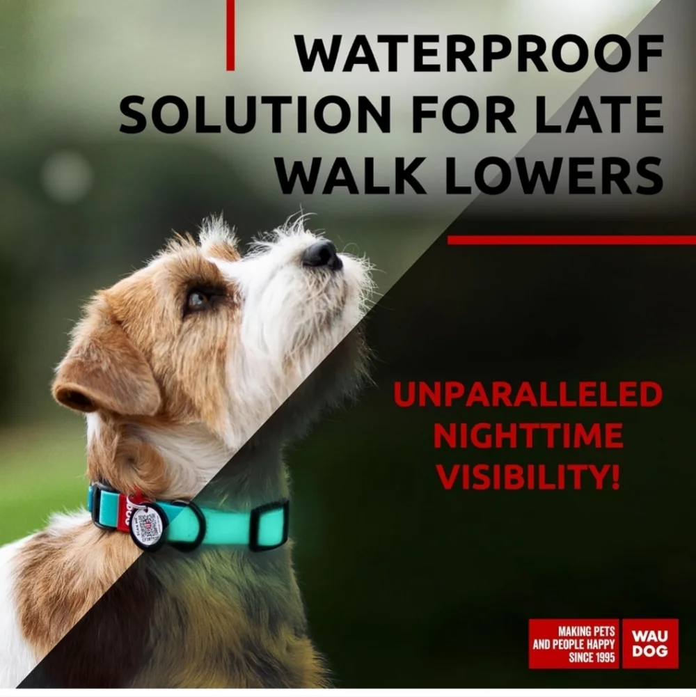 Waterproof Dog Collar Size Small